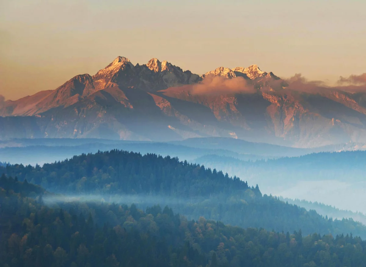 Profesjonalny serwis ekspresów