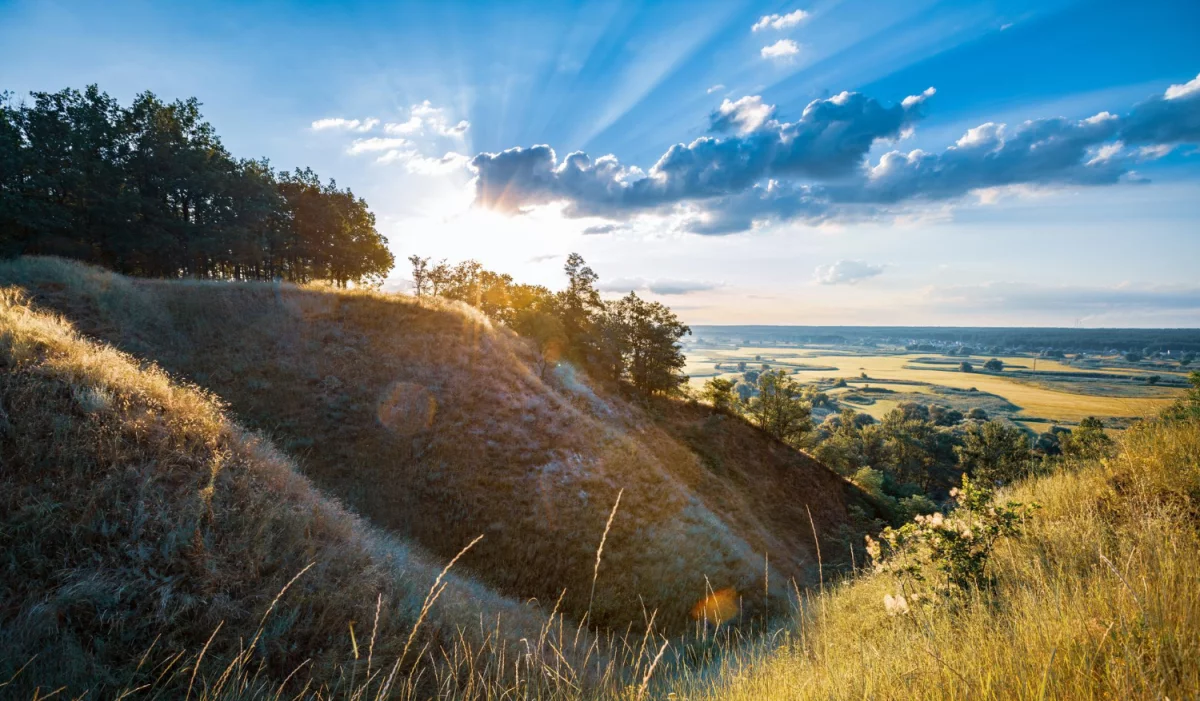 Nigdy Nie Rób Tych 6 Rzeczy Jeśli Chcesz zlecić usługi geodezyjne