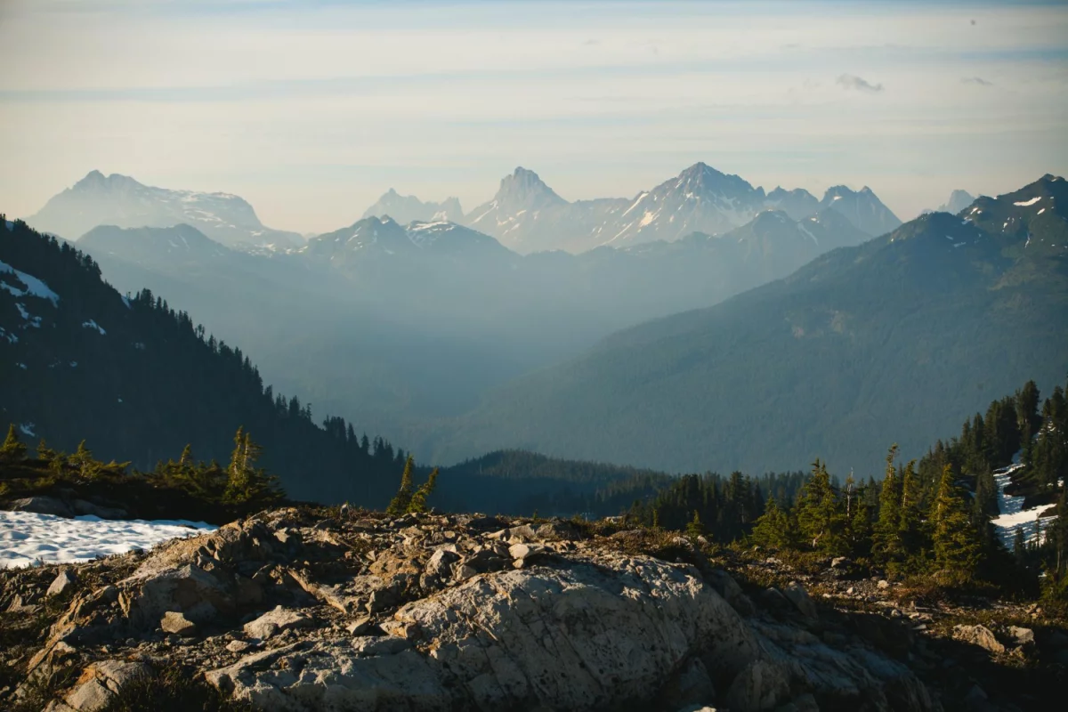 Jak kupić para cord przydatnie?