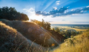 Jak nie bać się dentysty? Poradnik dla pacjentów