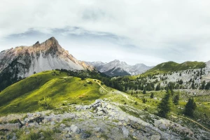 Duża impreza? Zastanów się nad meblami do wynajęcia - kilka faktów