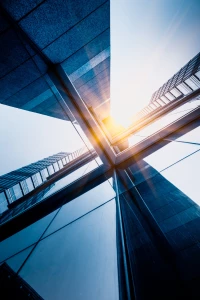 Jak zadbać o rośliny domowe - Nowe informacje